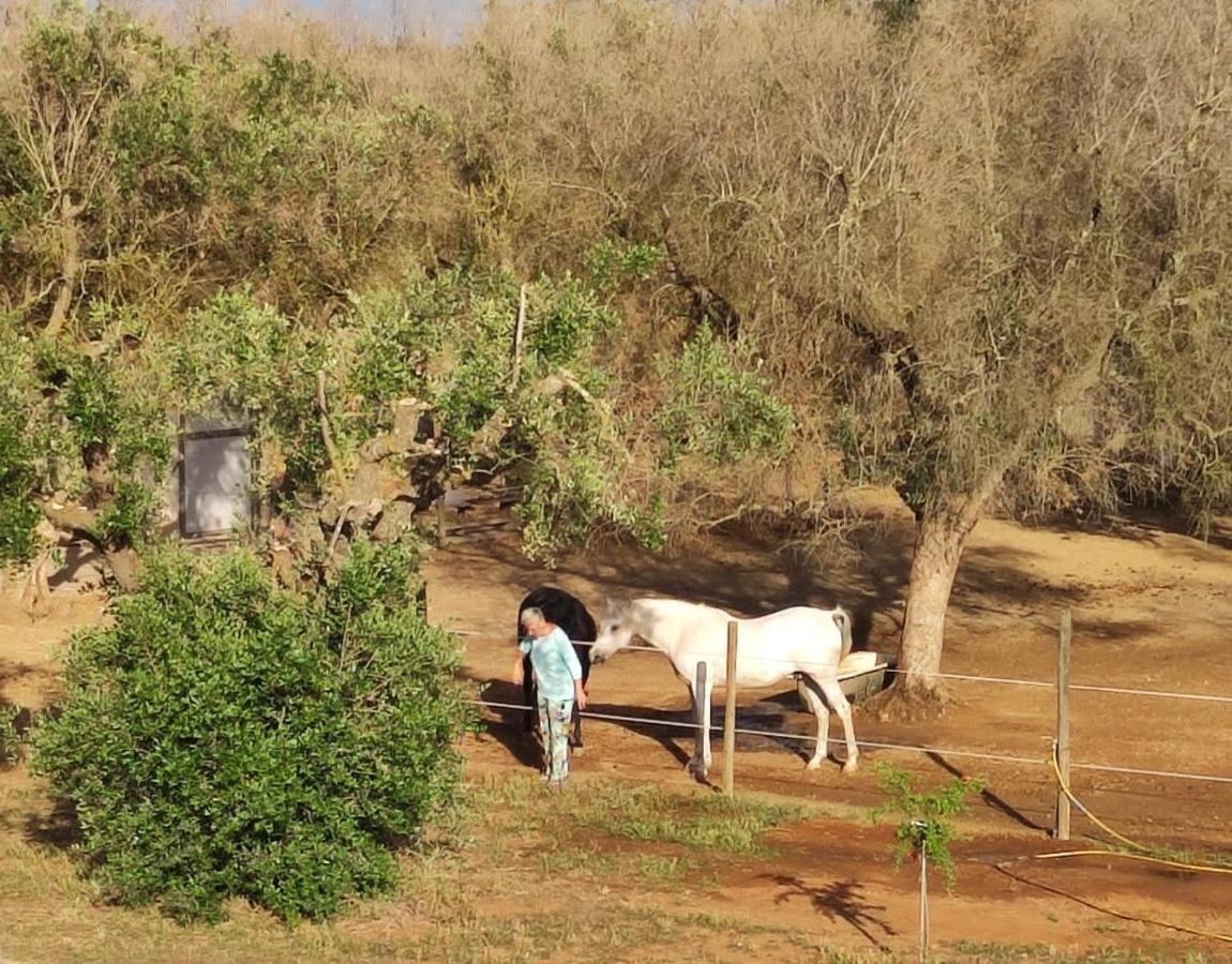 Torchiarolo Casa Serradei מראה חיצוני תמונה